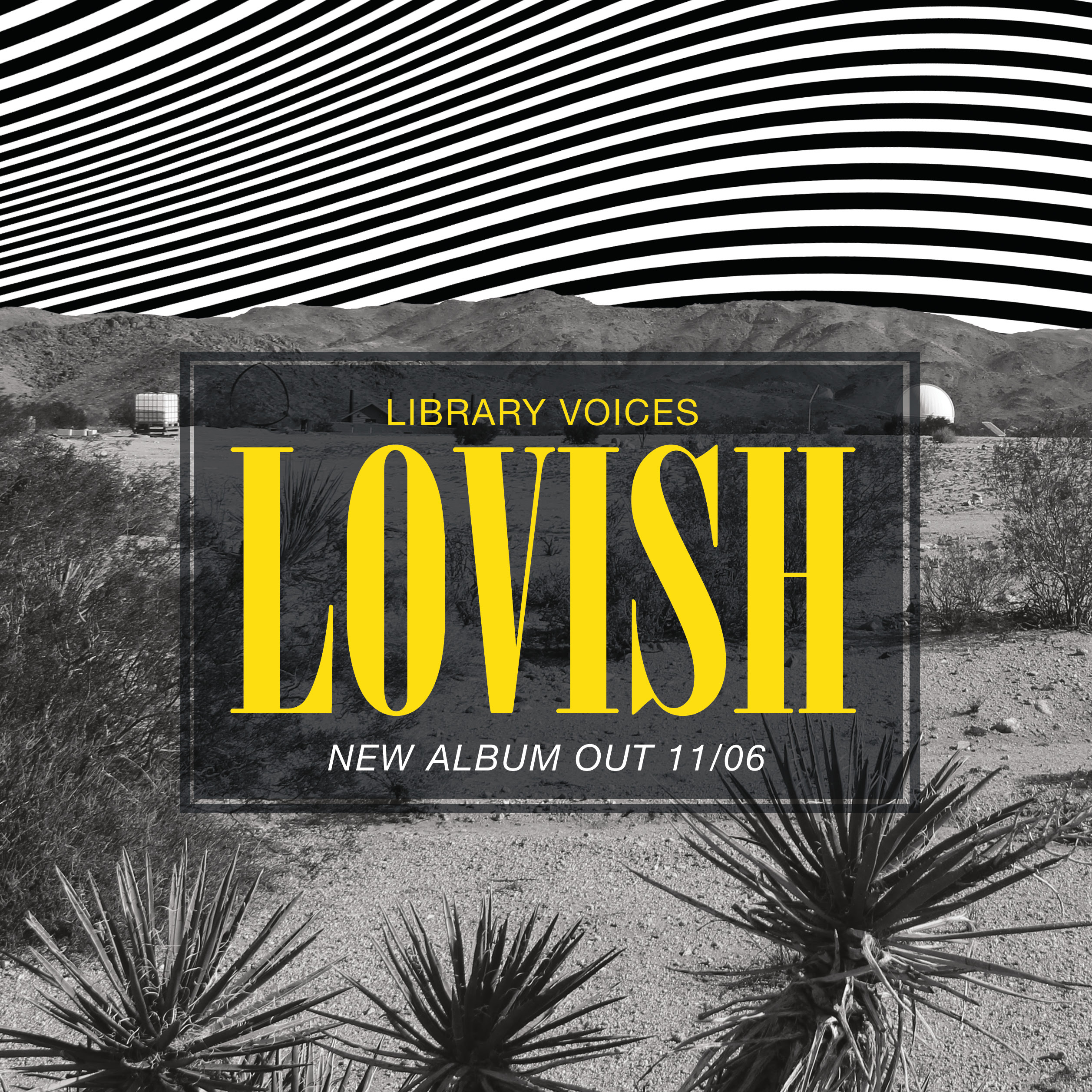 Library Voices New Album