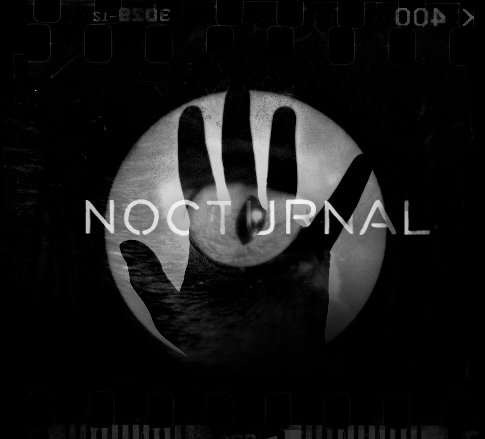 nocturnal-amaral