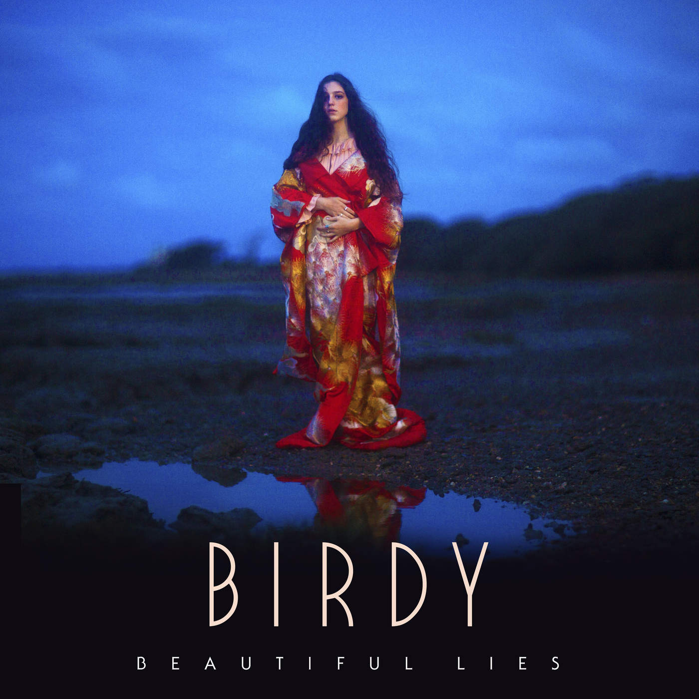 Birdy Beautiful lies