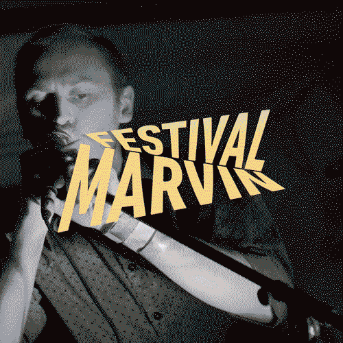 Festival Marvin 2013